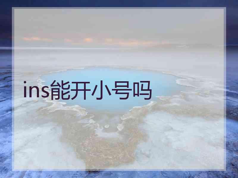 ins能开小号吗
