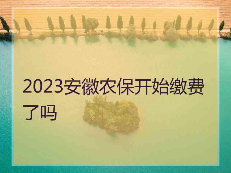 2023安徽农保开始缴费了吗