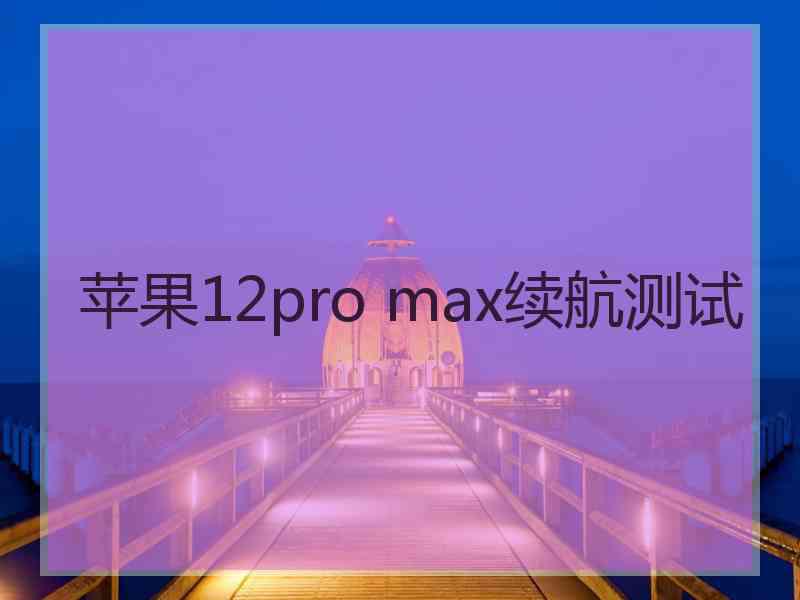 苹果12pro max续航测试