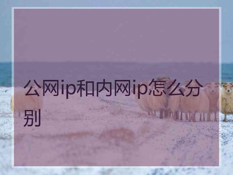 公网ip和内网ip怎么分别