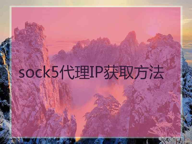 sock5代理IP获取方法