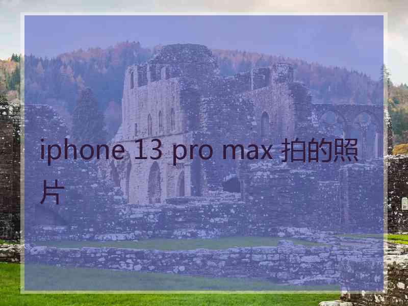 iphone 13 pro max 拍的照片