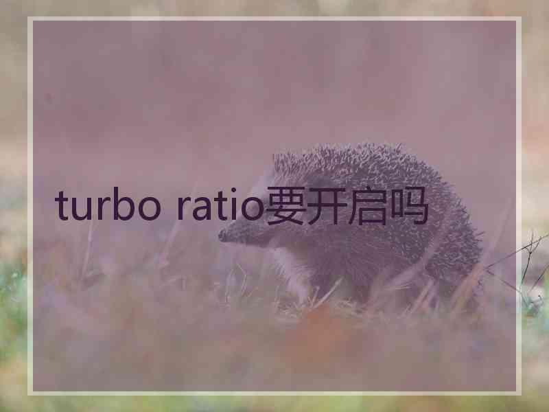 turbo ratio要开启吗