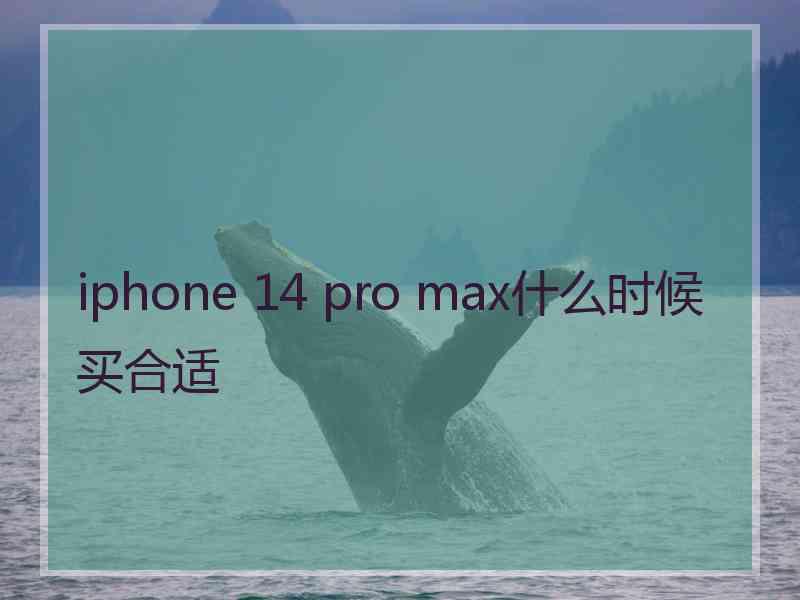 iphone 14 pro max什么时候买合适