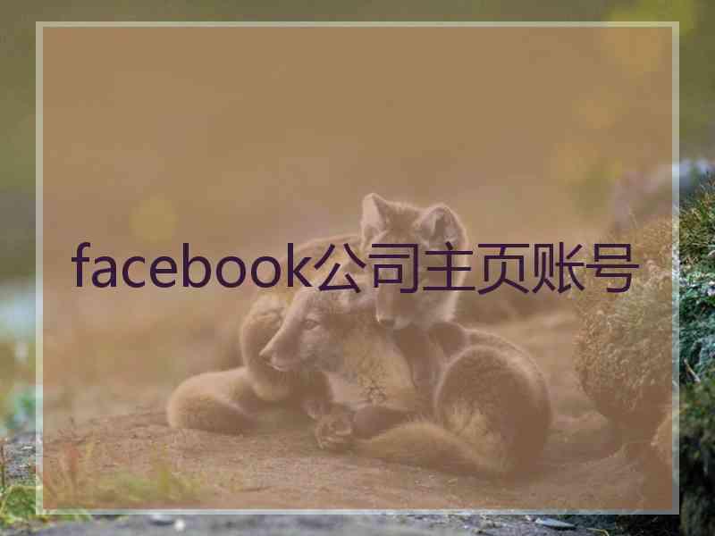 facebook公司主页账号