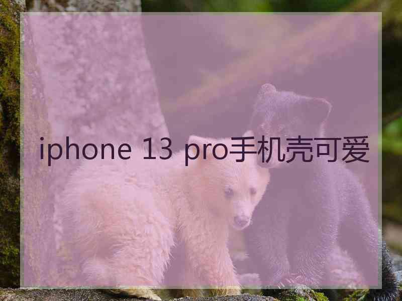 iphone 13 pro手机壳可爱