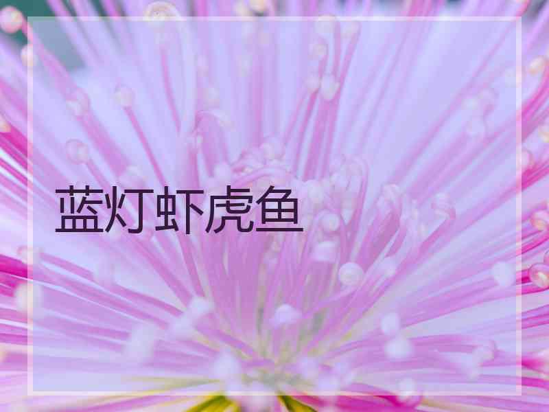 蓝灯虾虎鱼