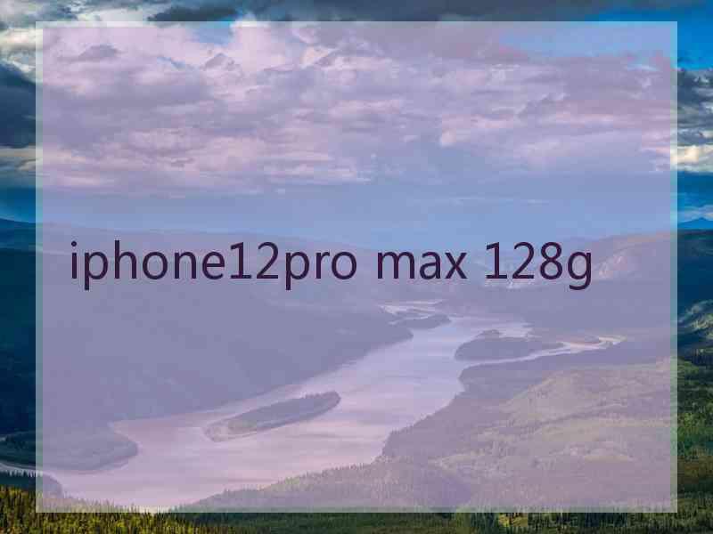 iphone12pro max 128g