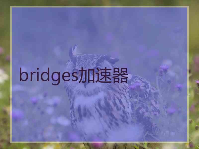 bridges加速器