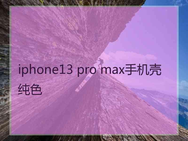 iphone13 pro max手机壳纯色