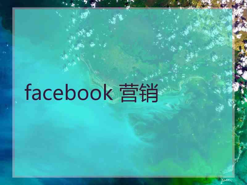 facebook 营销