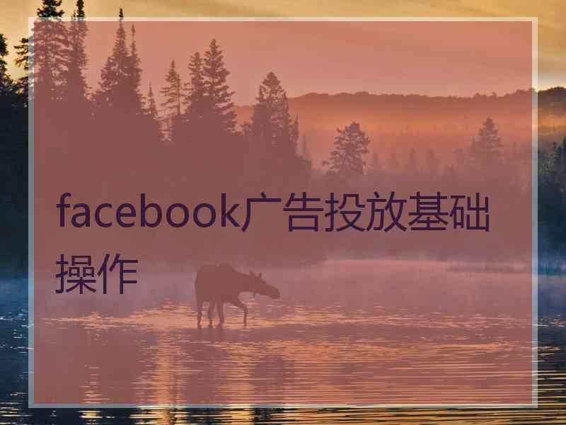 facebook广告投放基础操作