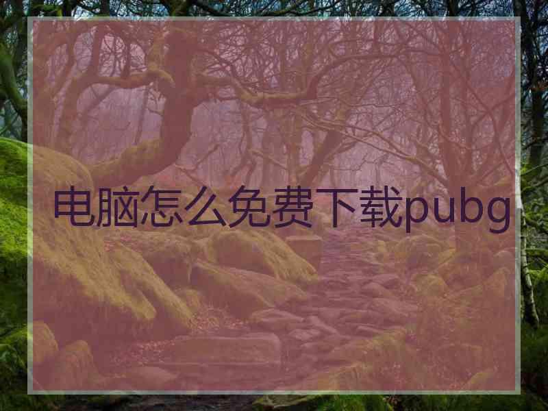 电脑怎么免费下载pubg