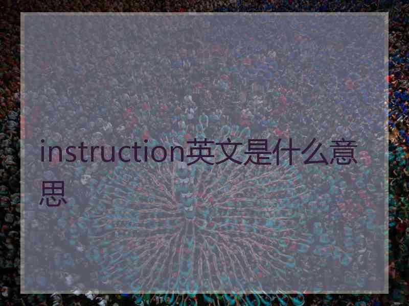 instruction英文是什么意思