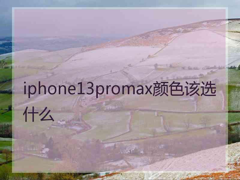 iphone13promax颜色该选什么