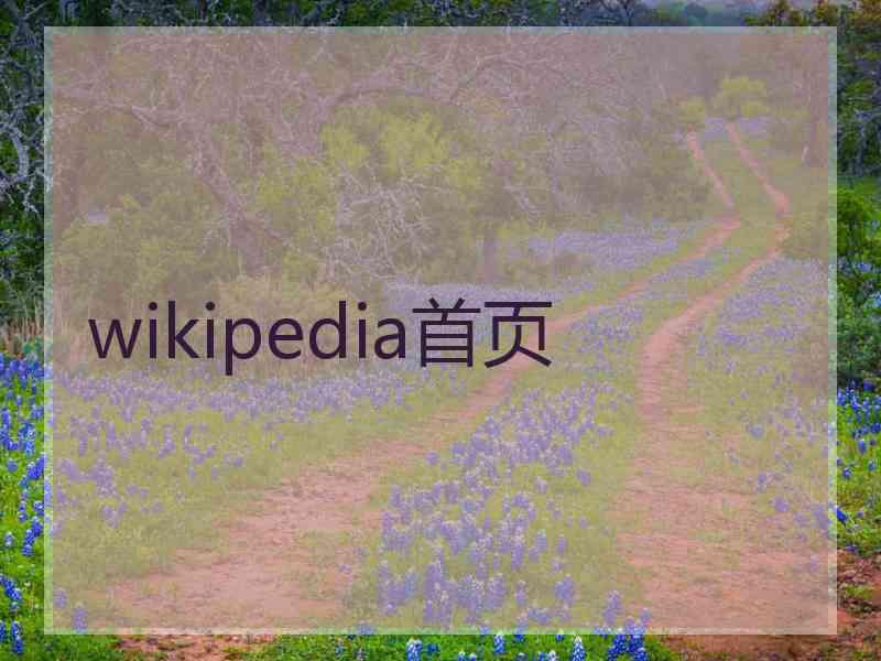 wikipedia首页