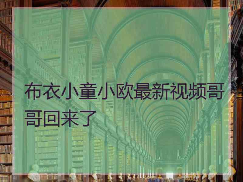 布衣小童小欧最新视频哥哥回来了