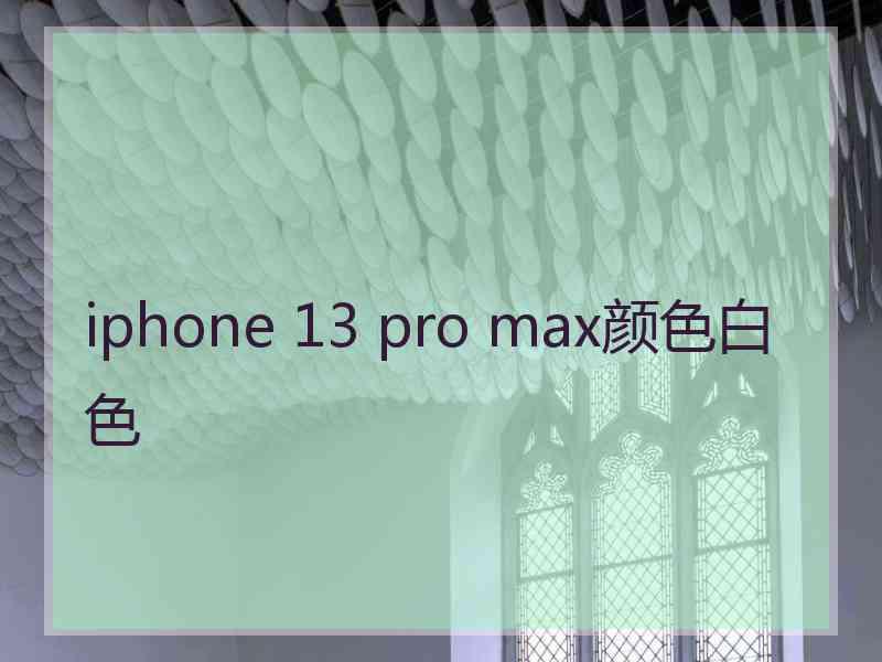 iphone 13 pro max颜色白色