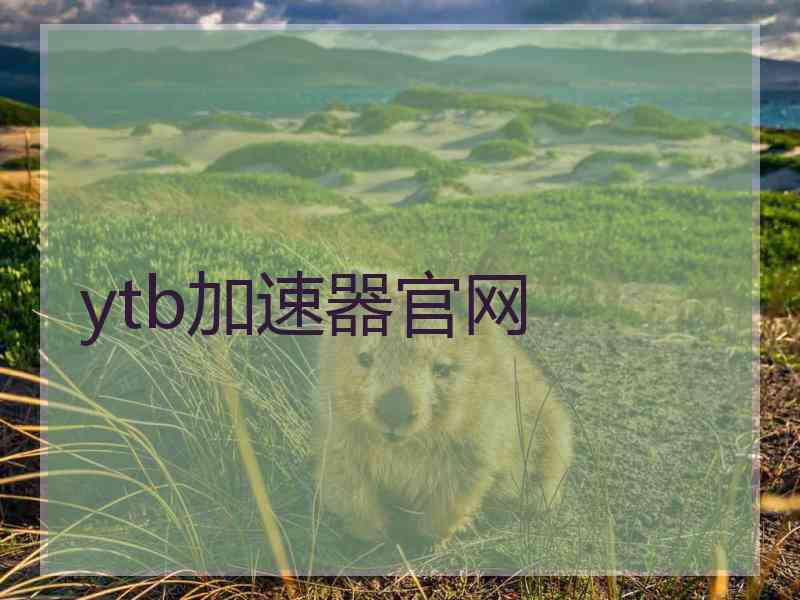 ytb加速器官网