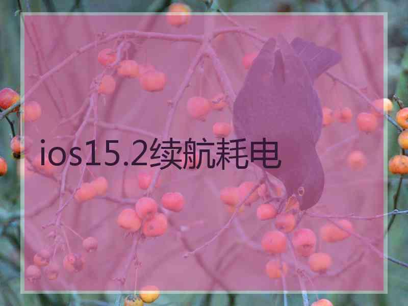 ios15.2续航耗电