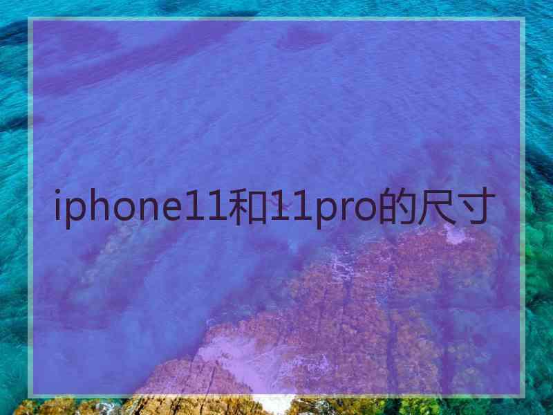 iphone11和11pro的尺寸