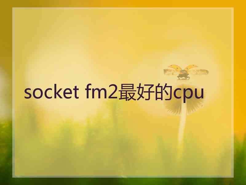 socket fm2最好的cpu