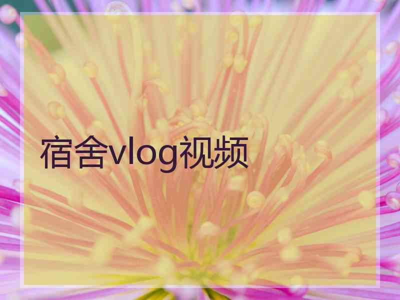 宿舍vlog视频