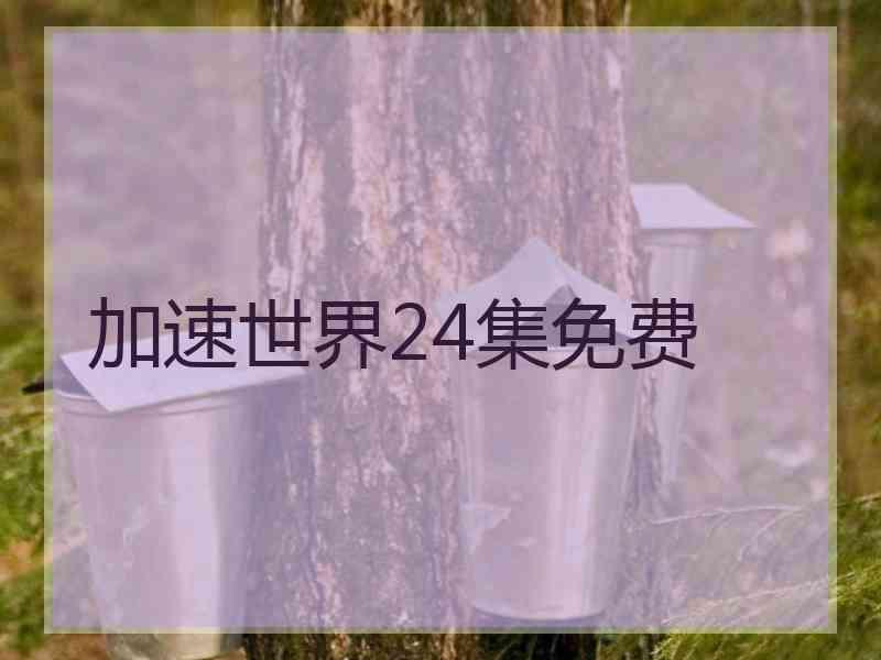 加速世界24集免费