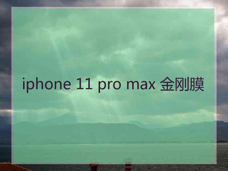 iphone 11 pro max 金刚膜