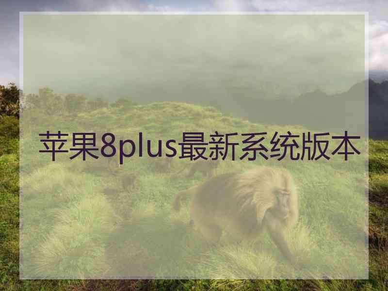 苹果8plus最新系统版本