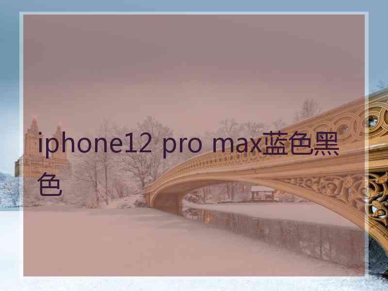 iphone12 pro max蓝色黑色