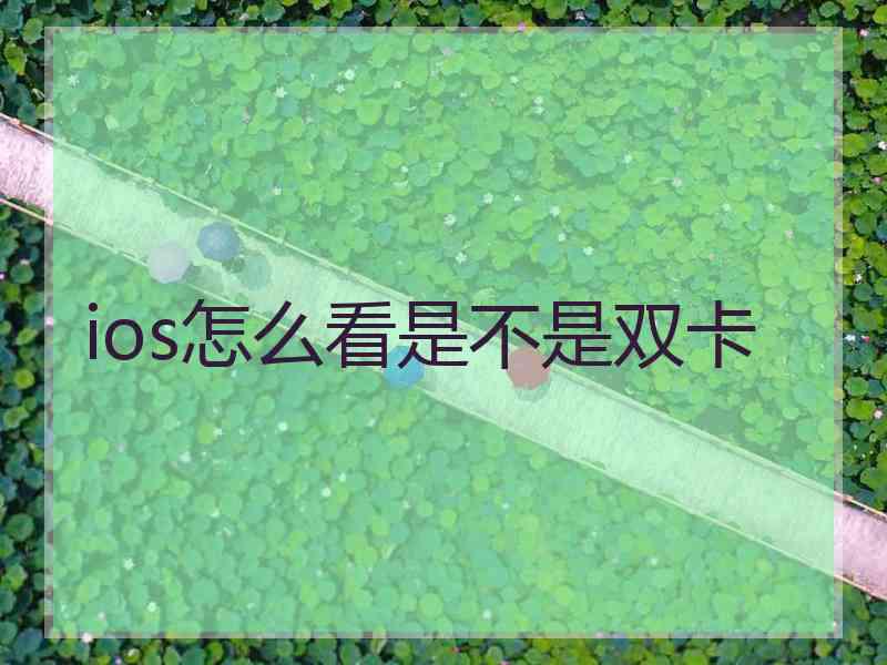 ios怎么看是不是双卡