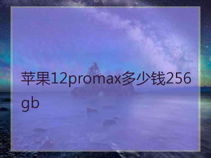 苹果12promax多少钱256gb