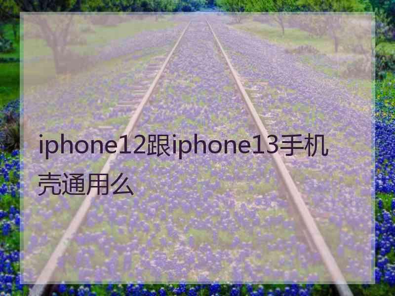 iphone12跟iphone13手机壳通用么