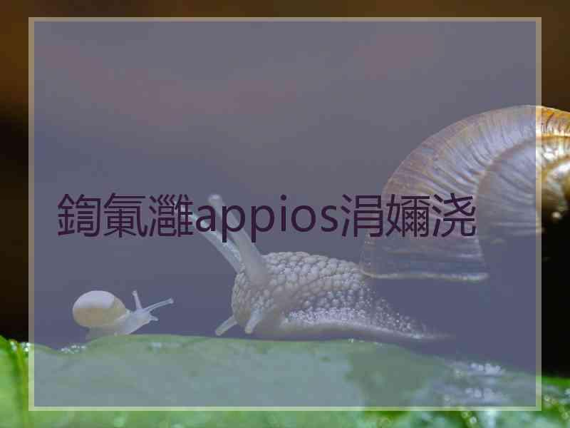 鍧氭灉appios涓嬭浇