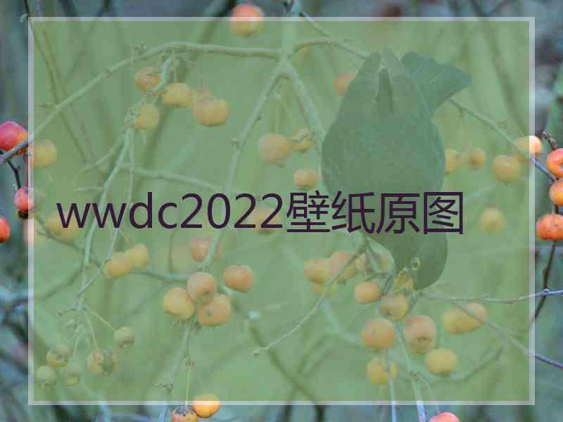 wwdc2022壁纸原图