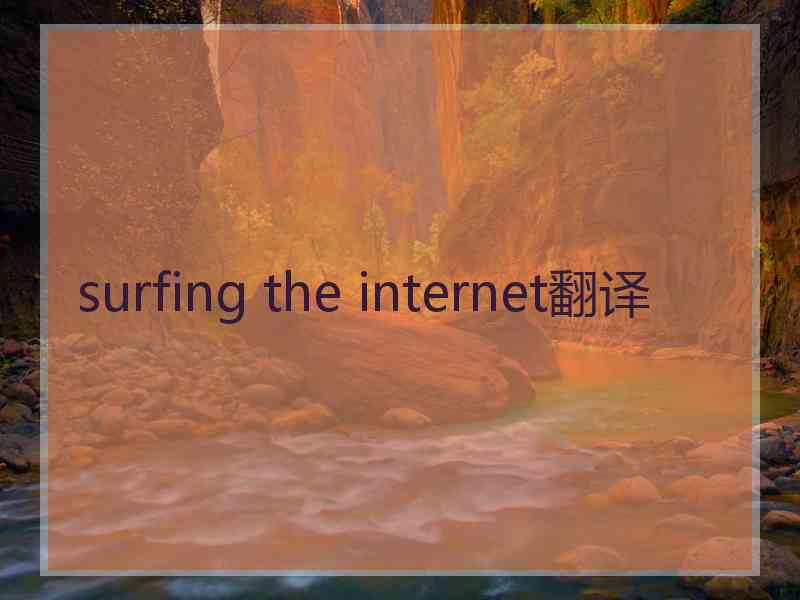 surfing the internet翻译