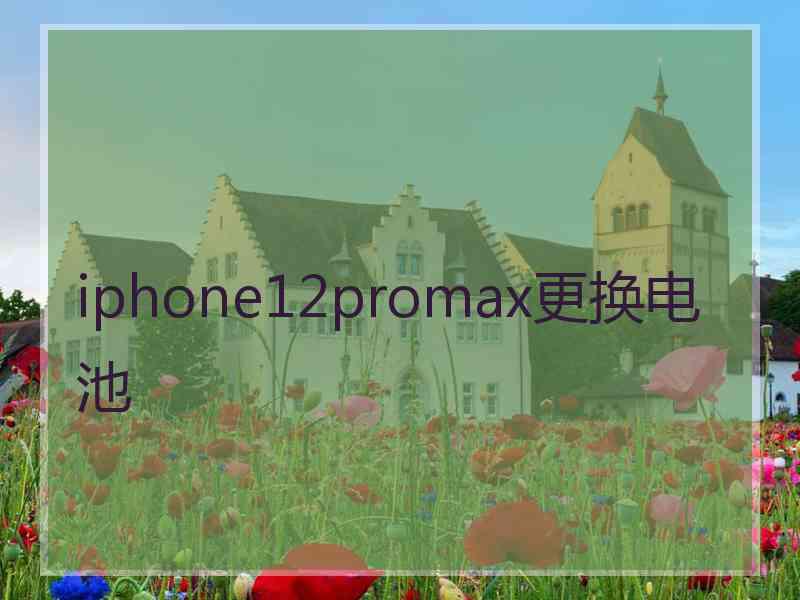 iphone12promax更换电池