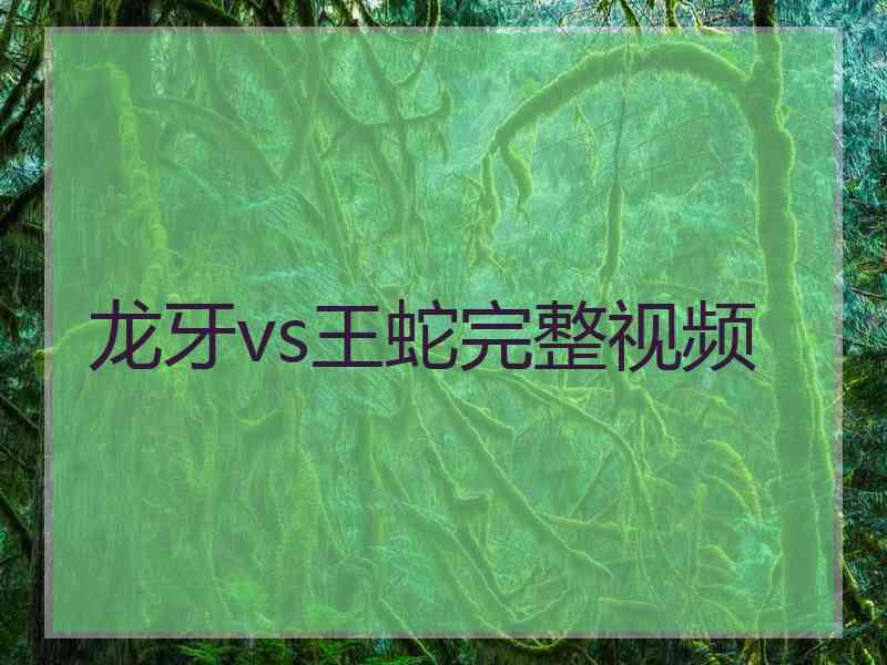 龙牙vs王蛇完整视频