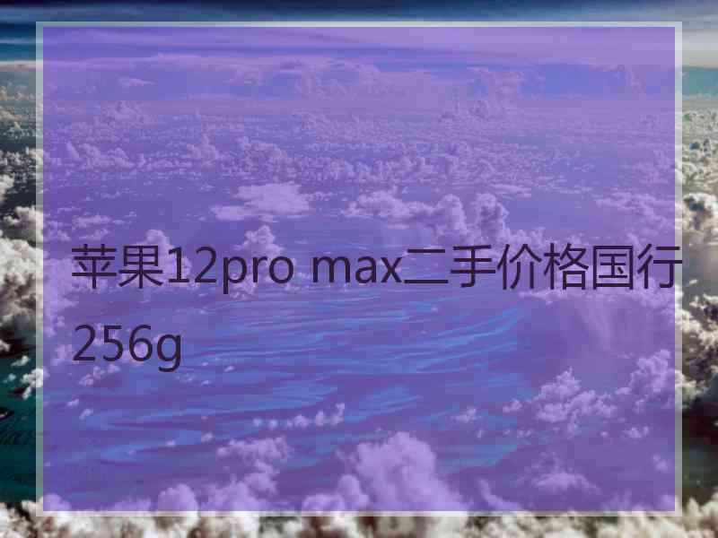 苹果12pro max二手价格国行256g