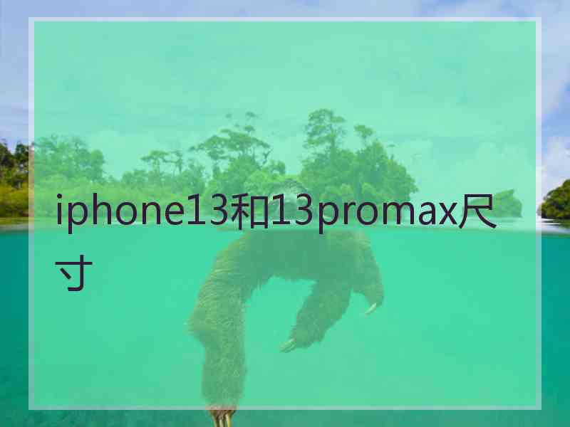 iphone13和13promax尺寸