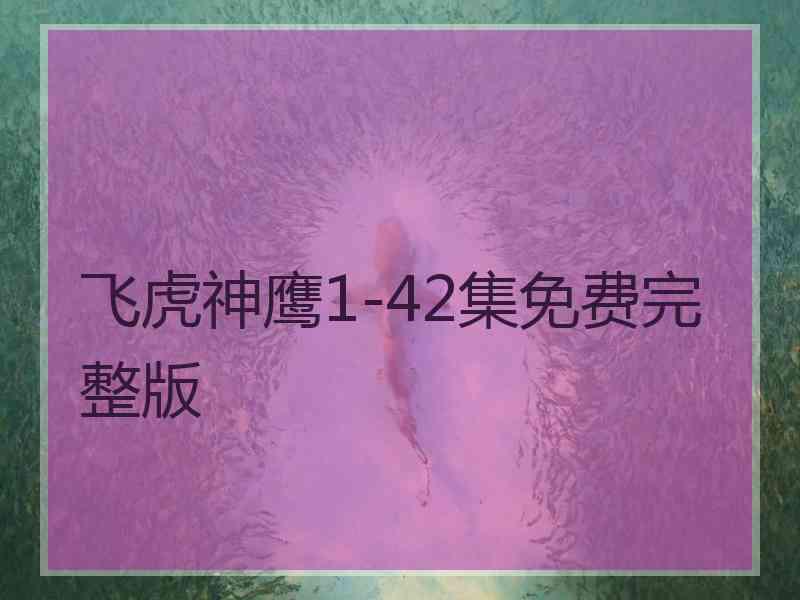 飞虎神鹰1-42集免费完整版