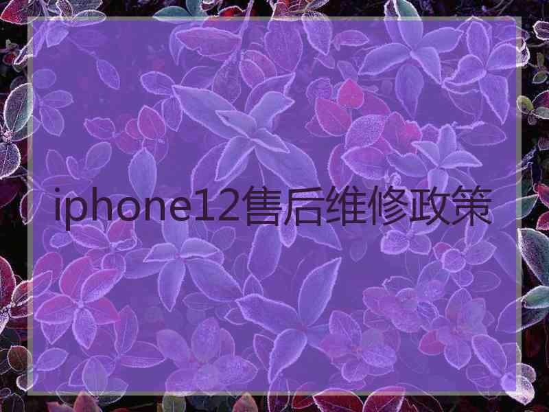 iphone12售后维修政策