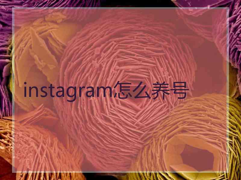 instagram怎么养号