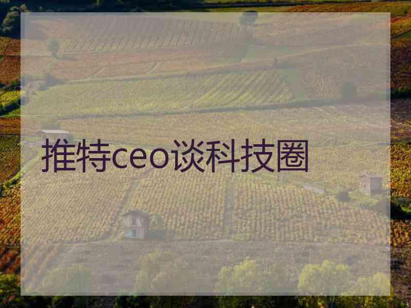 推特ceo谈科技圈