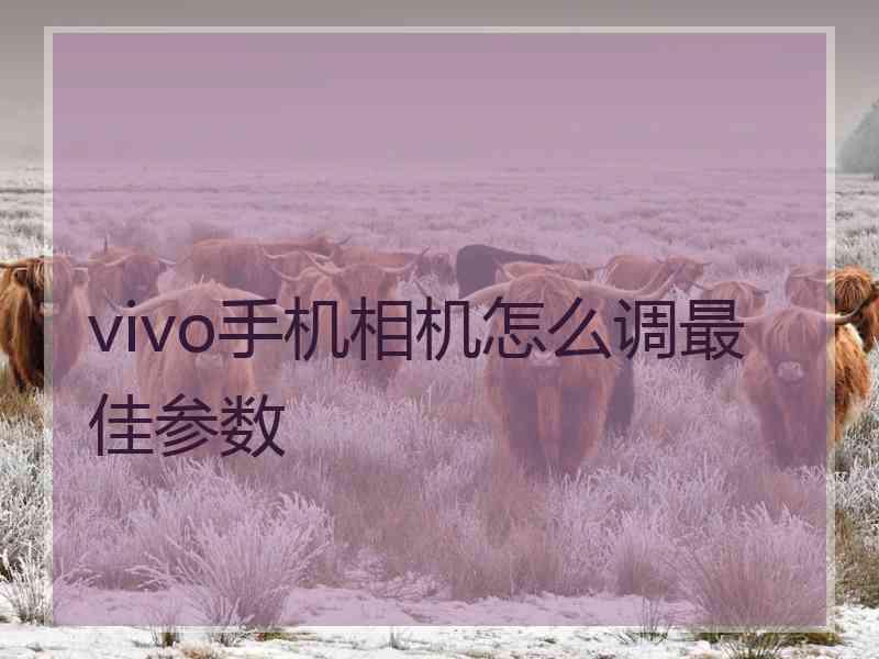 vivo手机相机怎么调最佳参数