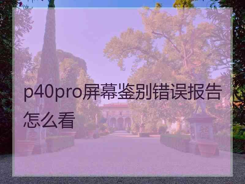 p40pro屏幕鉴别错误报告怎么看