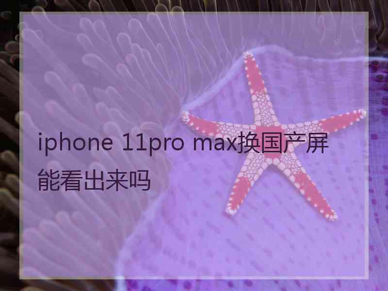 iphone 11pro max换国产屏能看出来吗