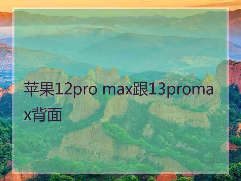 苹果12pro max跟13promax背面