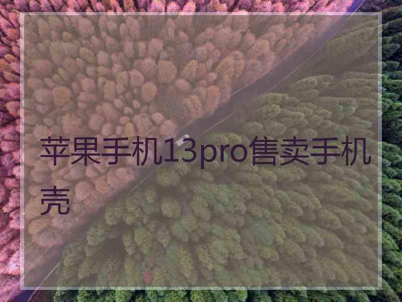 苹果手机13pro售卖手机壳